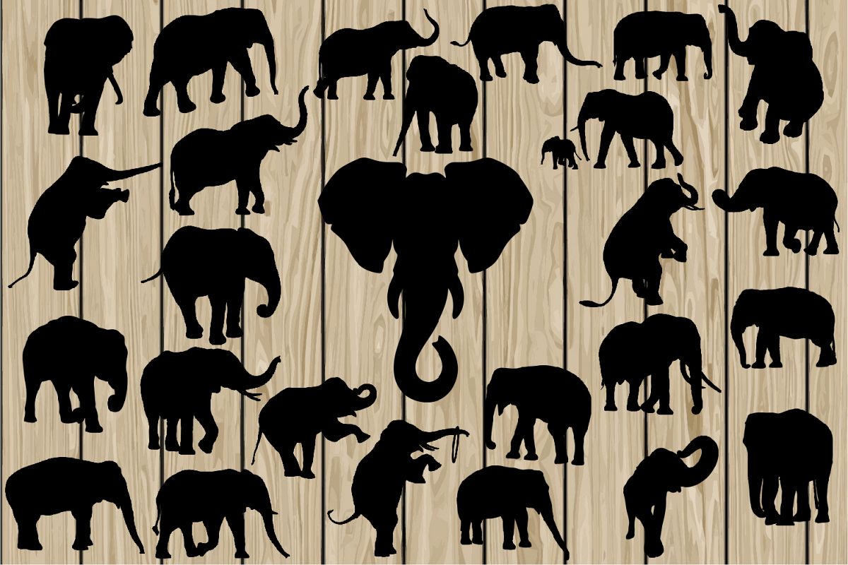 1200x800 Elephant Elephant Elephant Vector, Elephant