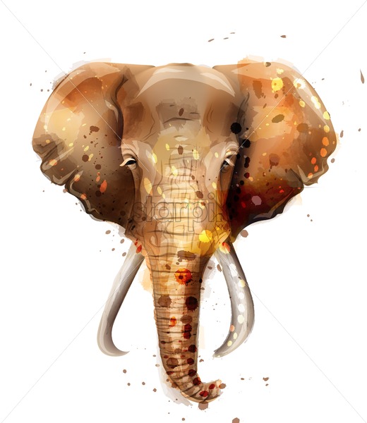 520x600 Elephant Vector Watercolor Wildlife Animal Front View