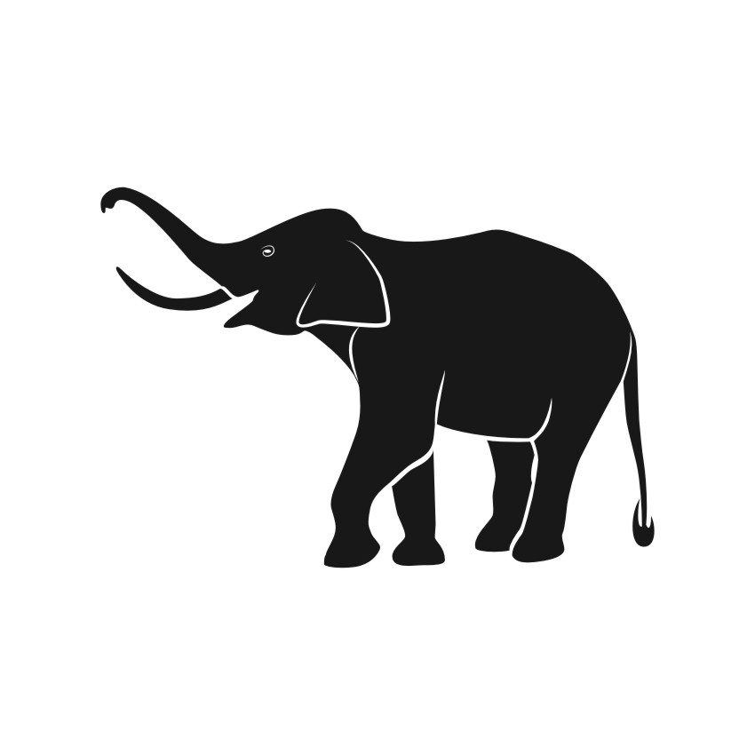 850x850 Elephants Vector Vectors, Corel Files