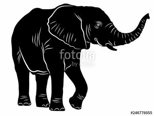 500x375 Illustration Of Elephant, Vector Drawing Stock Image And Royalty