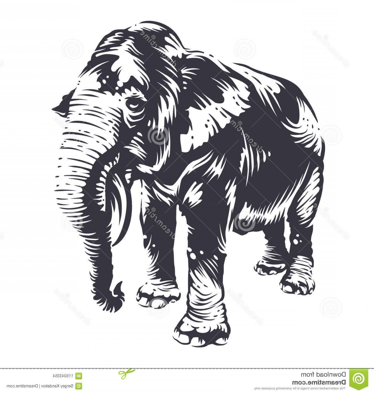 1560x1645 Elephant Vector Art Hoodamathrun