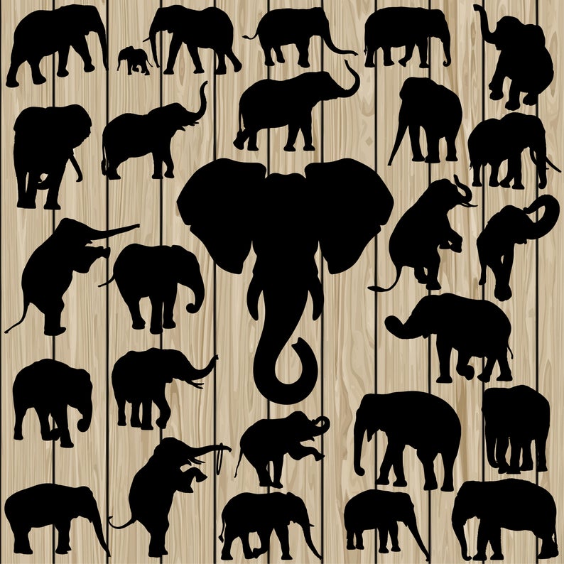 794x794 Elephant Elephant Elephant Vector Elephant Etsy
