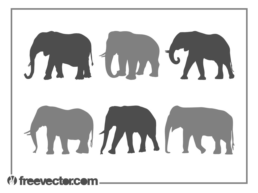 1024x765 Elephants Silhouette Set Free Vectors Ui Download