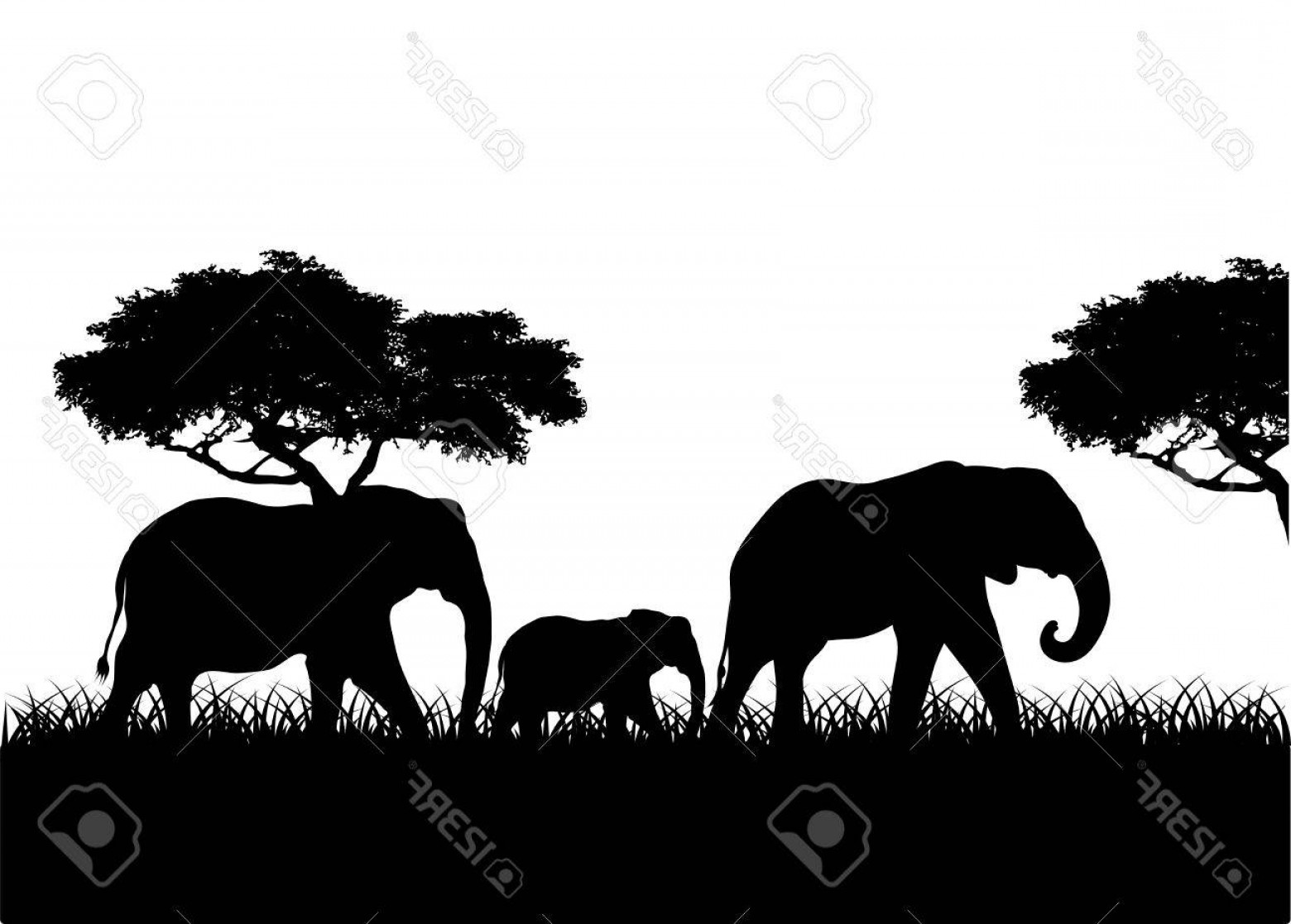1560x1117 Photostock Vector Silhouettes Of Elephant Family Simple Vector