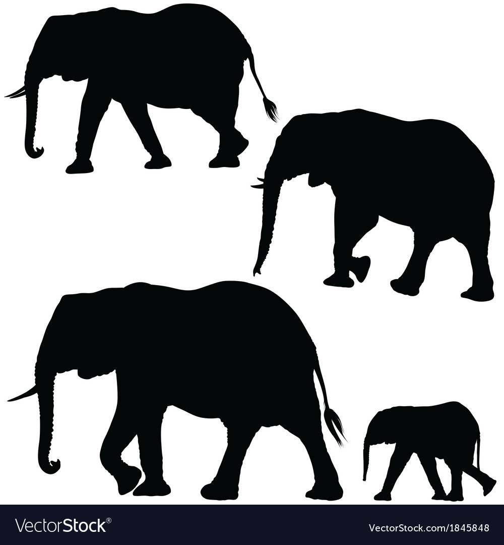 1000x1080 Collection Of 'elephant Silhouette Vector' Download More Than