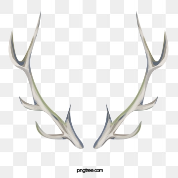 360x360 Elk Antlers Png, Vector, And Clipart With Transparent