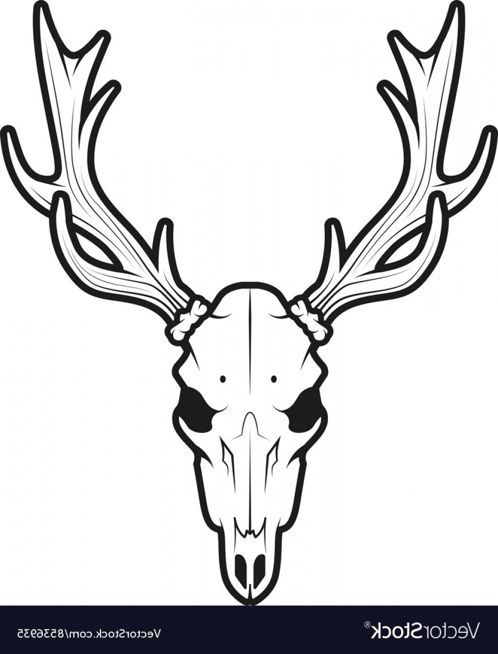 987x1296 Elk Skull Vector Cultracing