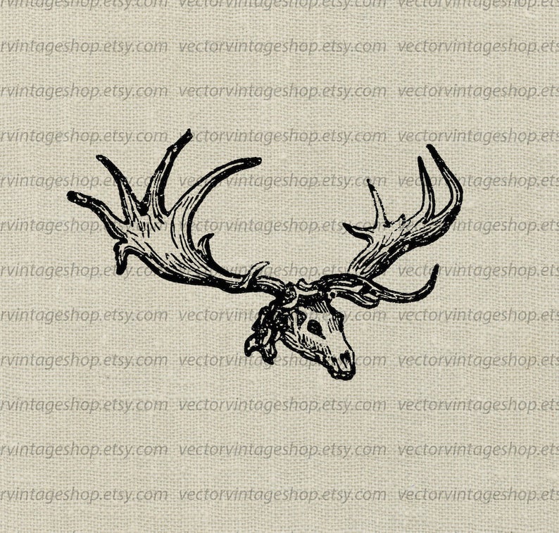794x757 Elk Skull Vector Clipart Instant Download Antler Animal Etsy