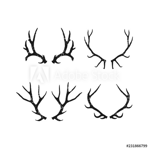 500x500 Handrawn Antler Vector, Hunting Logo Design Inspiration