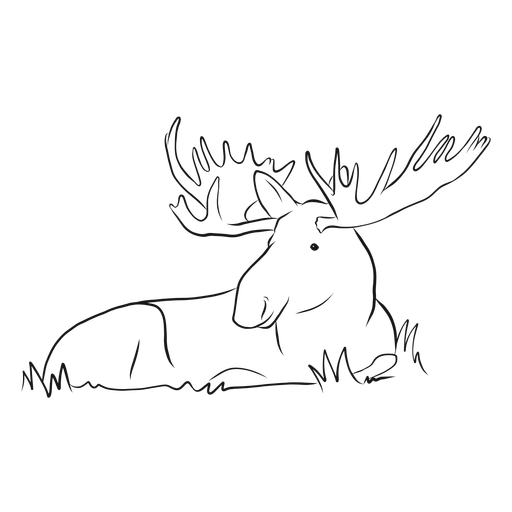 512x512 Moose Elk Antler Grass Sketch