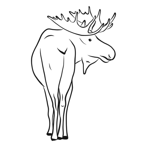 512x512 Moose Elk Antler Sketch