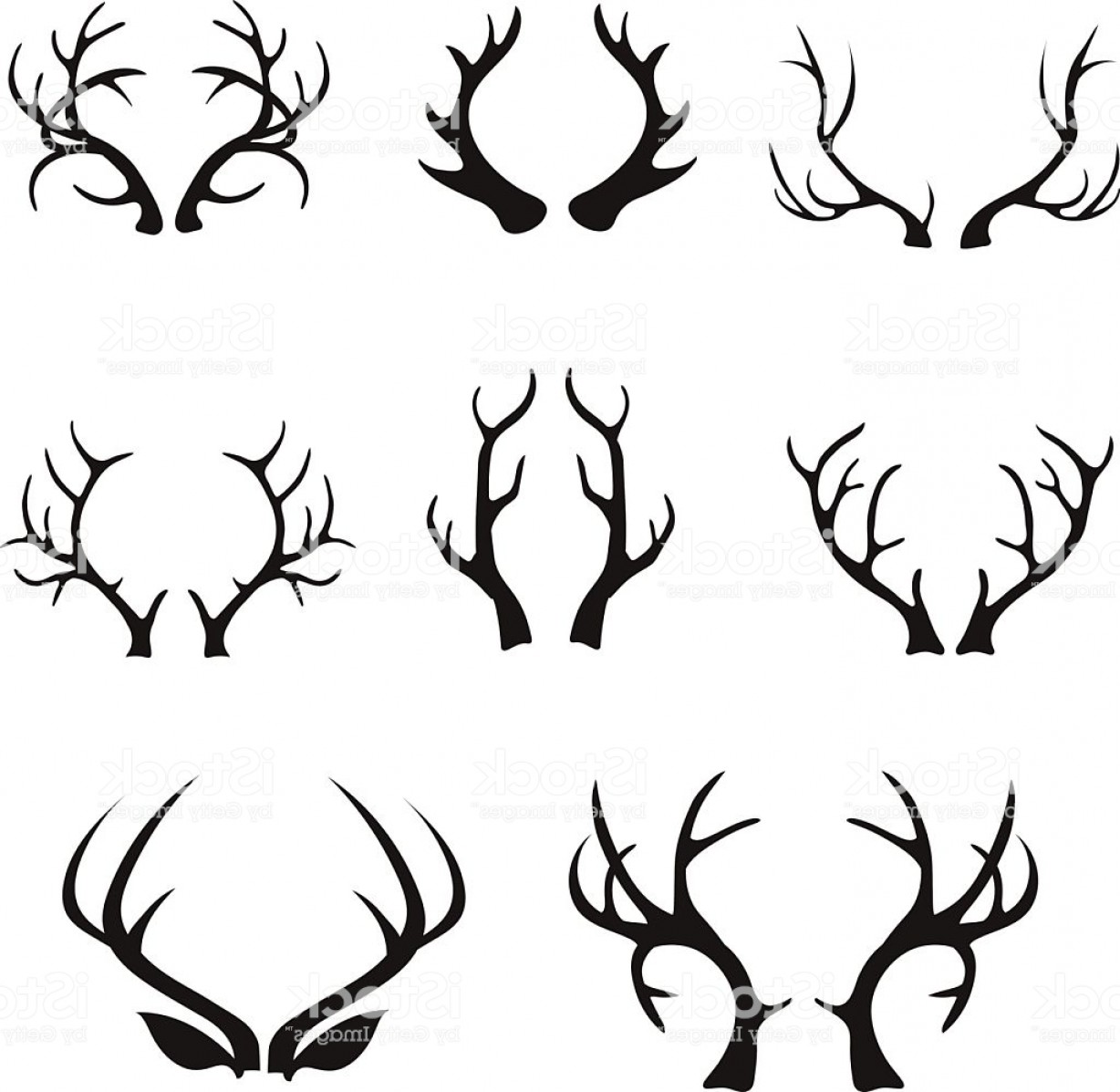 1228x1197 Vector Deer Antlers Silhouette Isolated On White Gm Soidergi