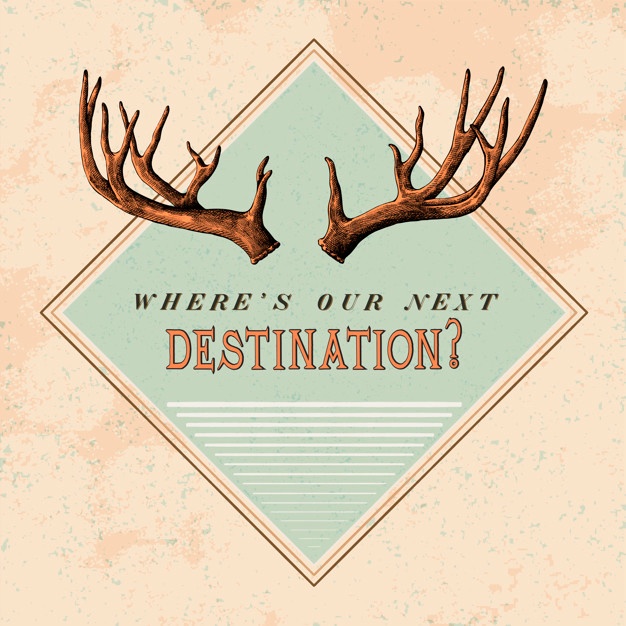 626x626 Antler Vectors, Photos And Free Download