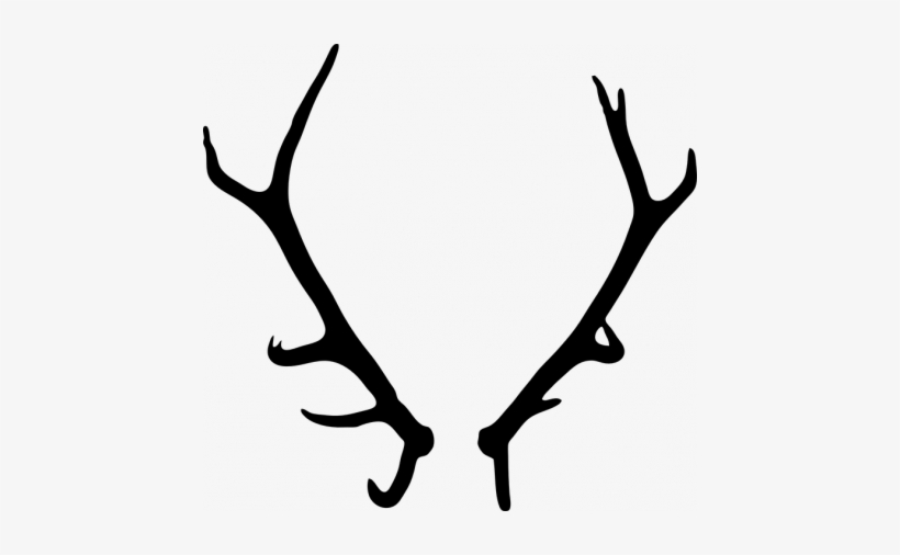 Zxc.antlers