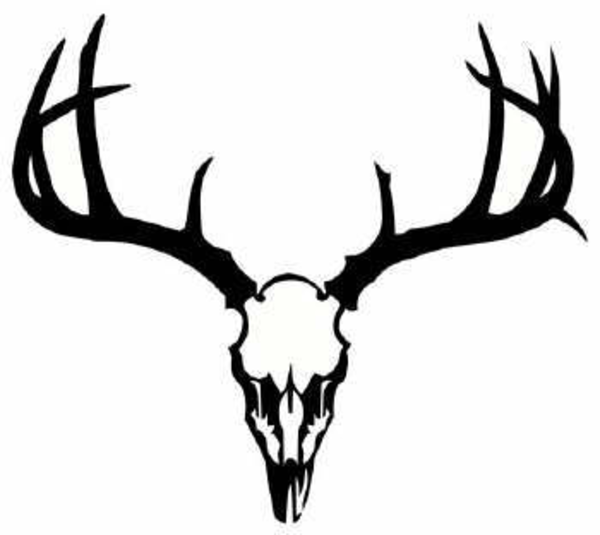 600x535 Elk Head Clipart