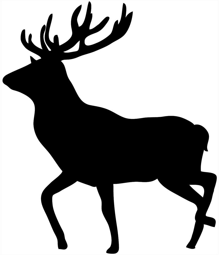 850x989 Cliparts For Free Download Elk Clipart Vector Bull Elk And Use