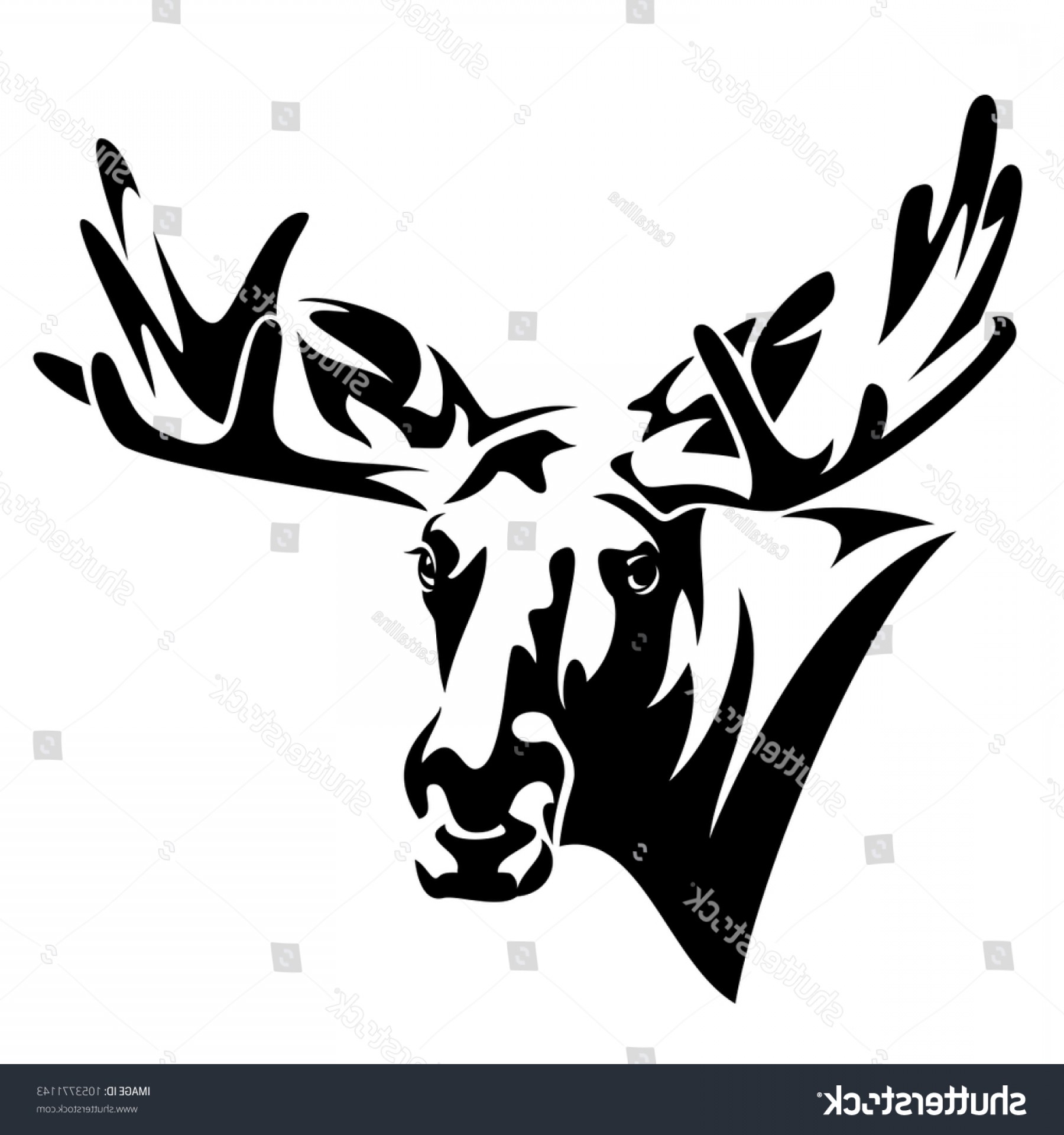 1800x1920 Moose Head Front View Black White Soidergi