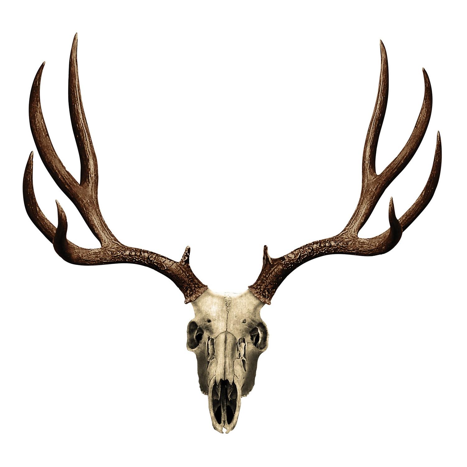 1500x1500 Best Hd Mule Deer Head Vector Image Free Vector Art, Images