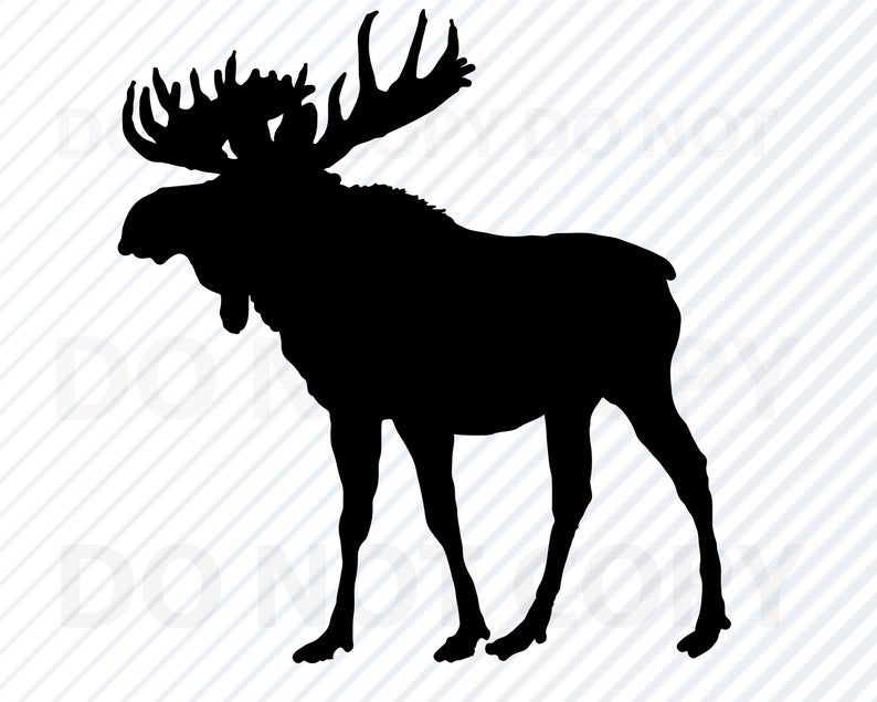 Elk Silhouette Vector At Vectorified.com | Collection Of Elk Silhouette ...