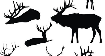 367x195 Elk Silhouette Clip Art Tree Archives