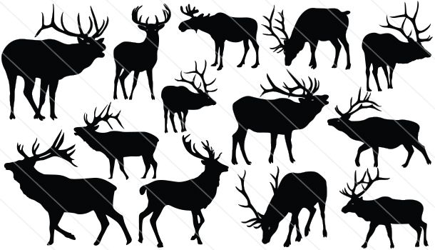 610x350 Elk Silhouette Vector