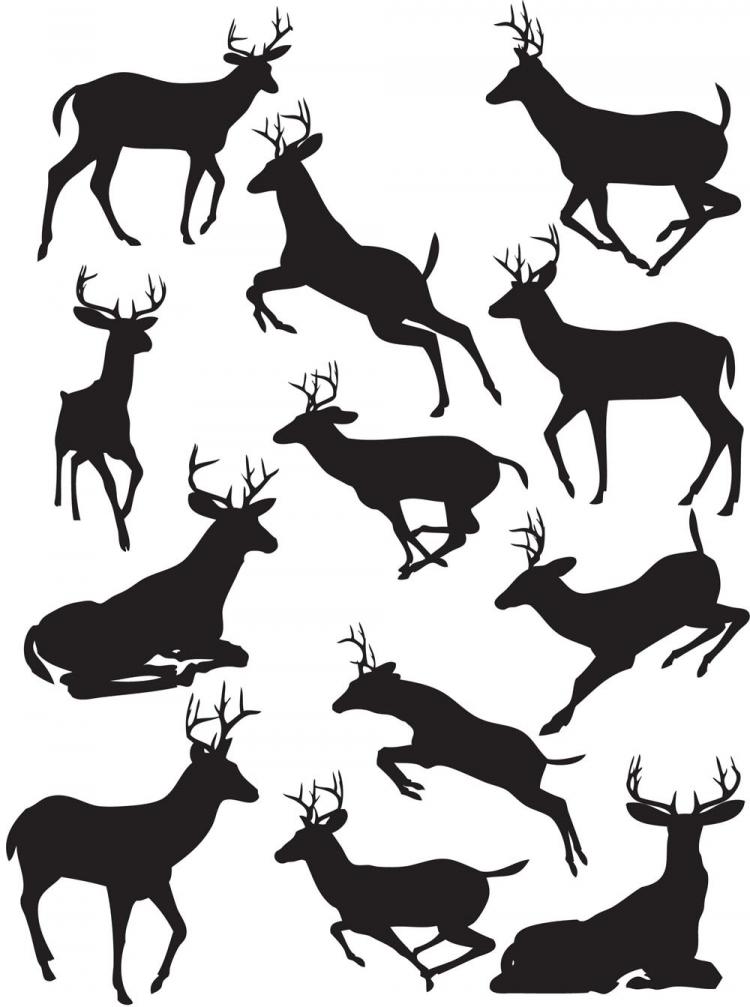 750x1007 Elk Black Silhouette