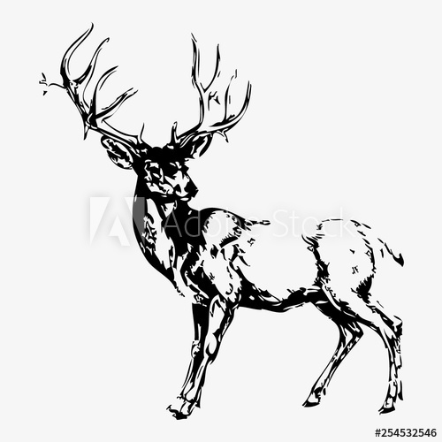 500x500 Elk Silhouette Vector Illustration