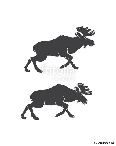 395x500 Elk Silhouette Stock Image And Royalty Free Vector