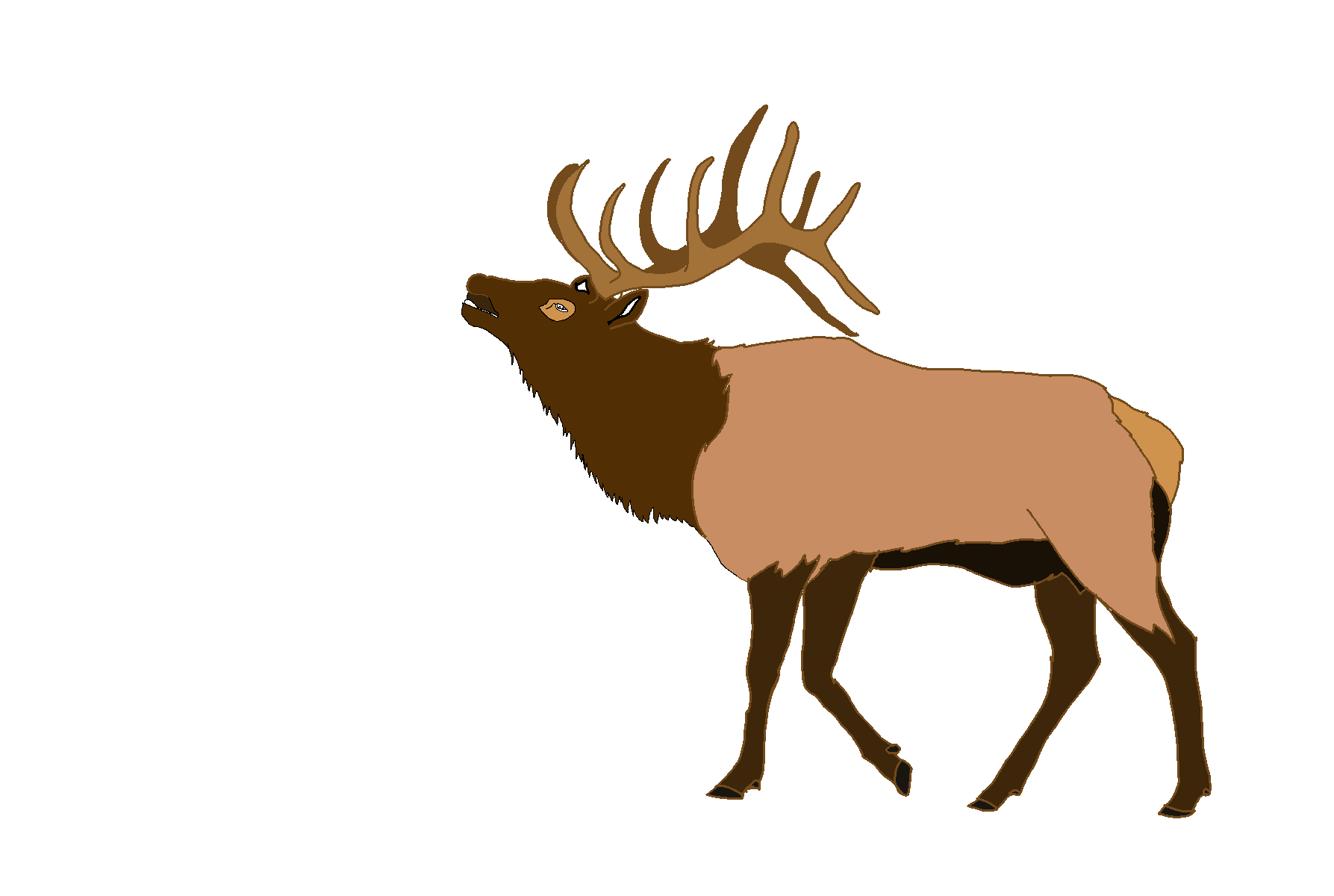 Elk Vector