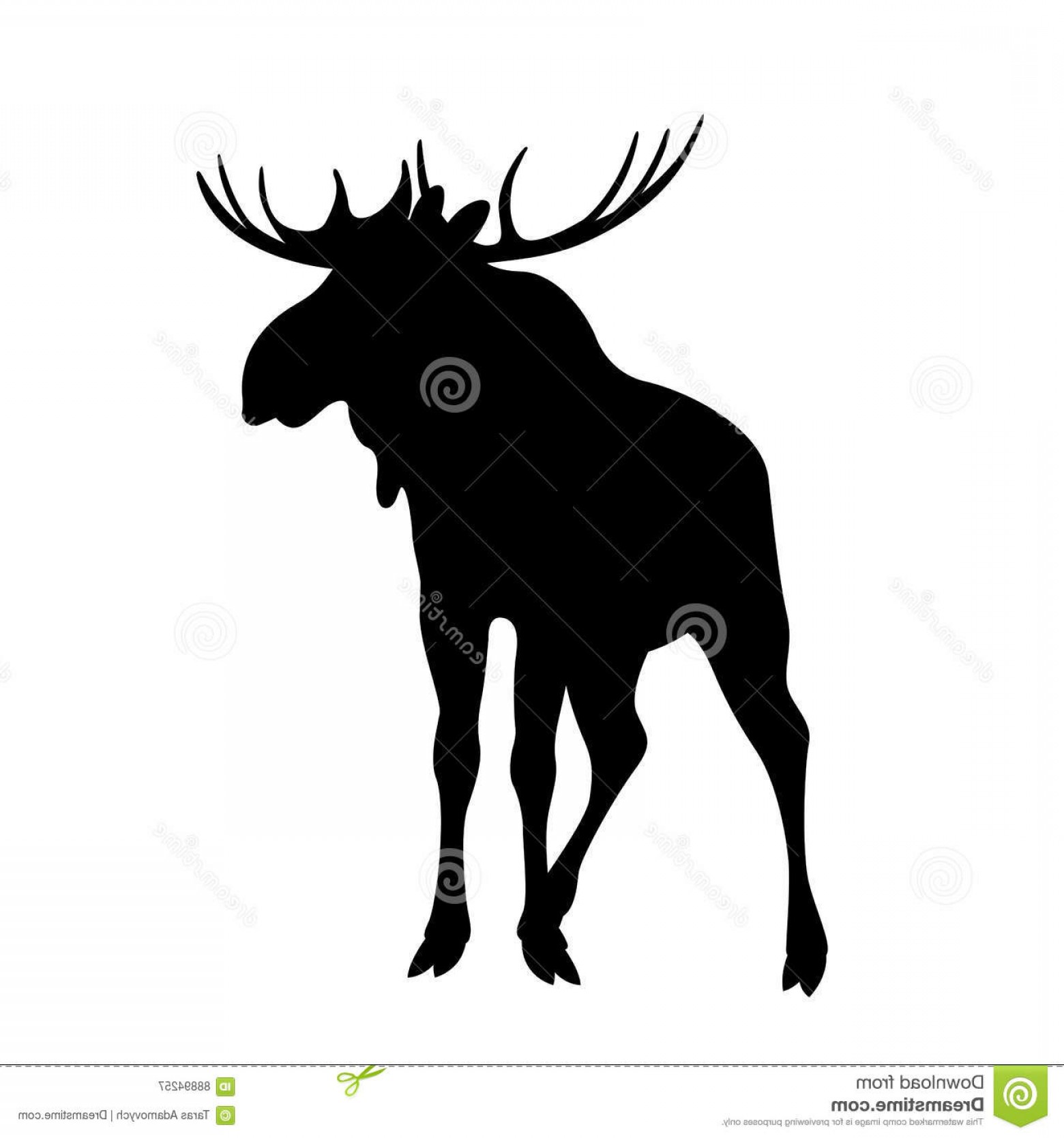 1560x1668 Elk Vector Catchsplace