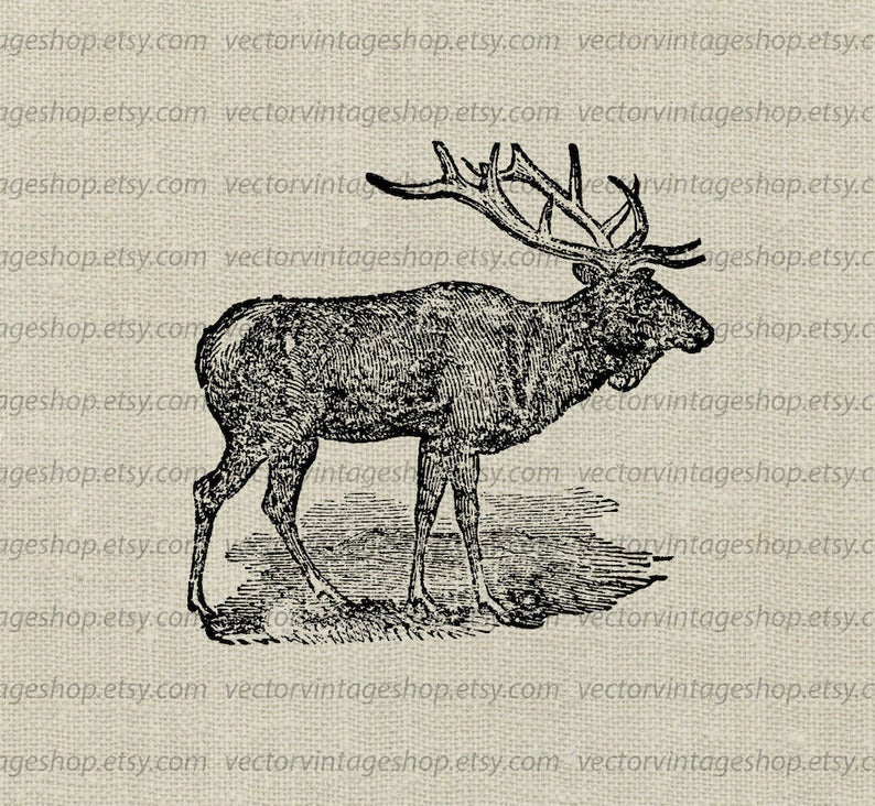 794x732 Elk Vector Clipart Instant Download American Elk With Antler Etsy
