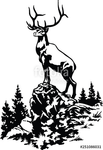 343x500 Elk Vector Illustration Stock Image And Royalty Free Vector