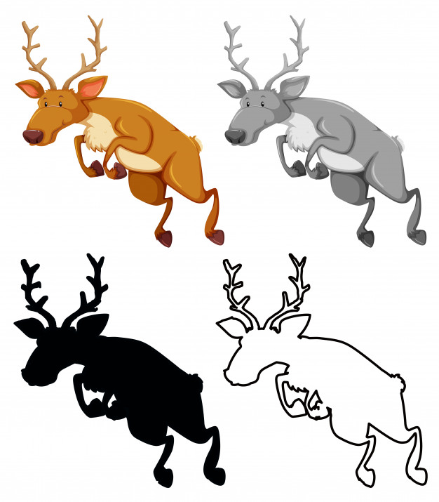 626x715 Elk Vectors, Photos And Free Download