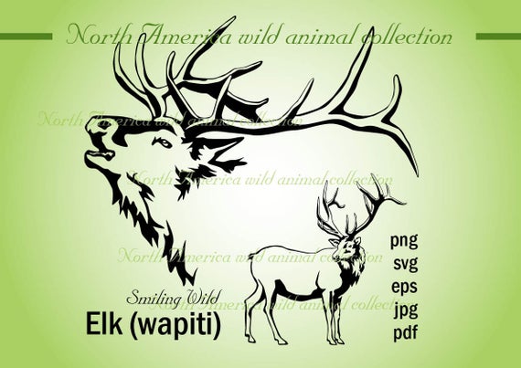 570x403 Elk Wapiti Clipart Elk Art Vector Graphic North America Etsy