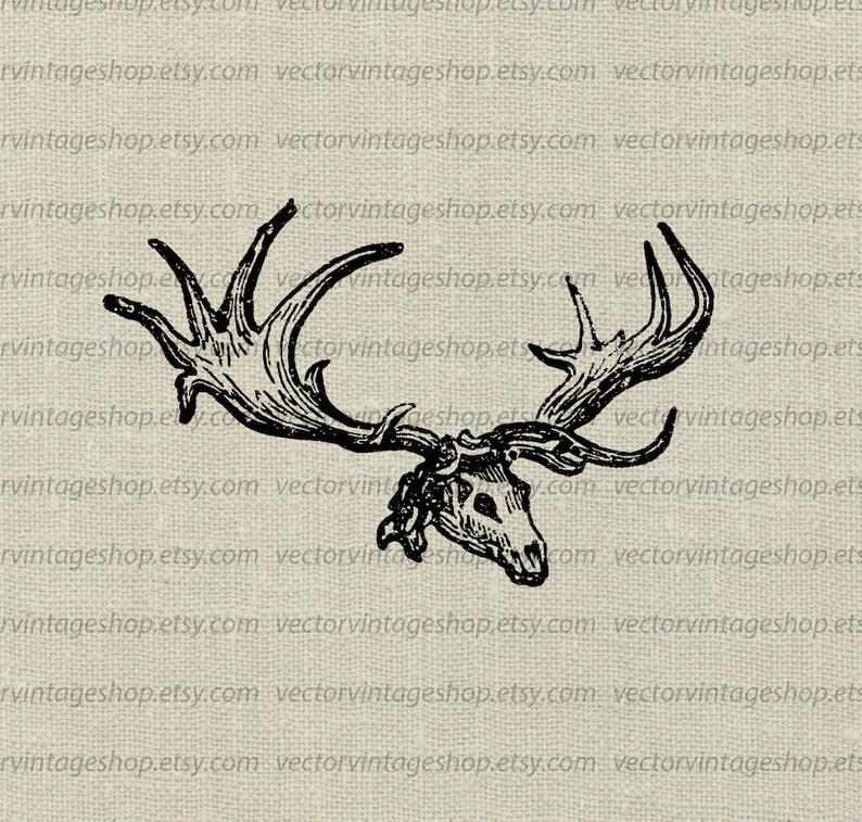 794x757 Cliparts For Free Download Elk Clipart Vector Elk Antler