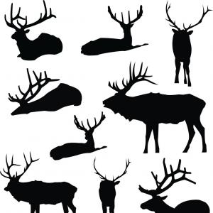 300x300 Vector Zig Zag Pattern Vector Png, Xbox Vector, Zebra Vector