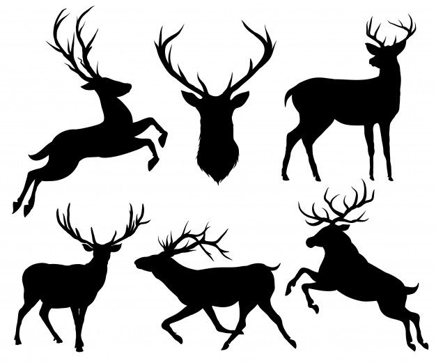 626x521 Elk And Deer Silhouette Set Premium Vector Cricut Creations