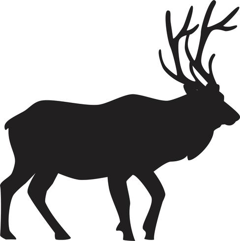 488x490 Bull Elk