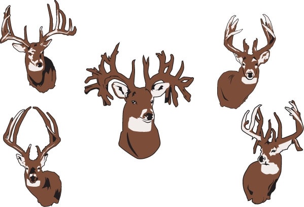 599x408 Elk Vector Free Vector In Adobe Illustrator