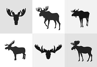 310x217 Elk Vector Free Graphics Uihere