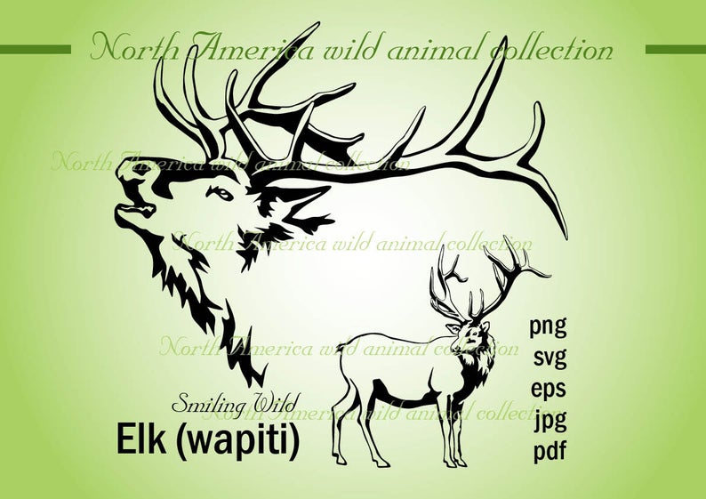 794x561 Elk Wapiti Clipart Elk Art Vector Graphic North America Etsy