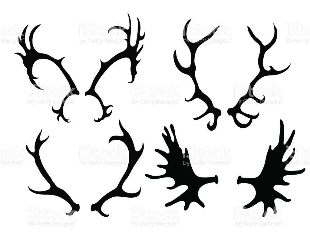 1024x802 Set Of Silhouettes Of Deer And Elk Horns Vector Element For Your
