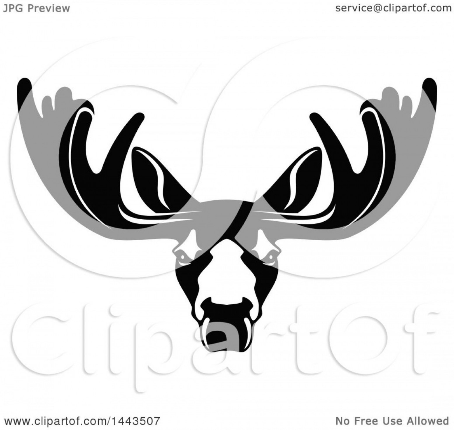 1555x1473 Black And White Profiled Elk Caribou Or Moose Mascot Head Logo