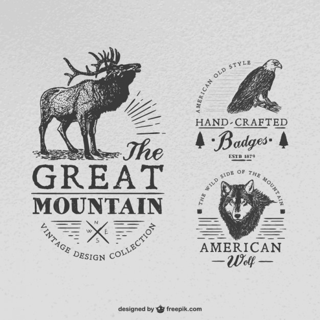 626x626 Elk Vectors, Photos And Free Download