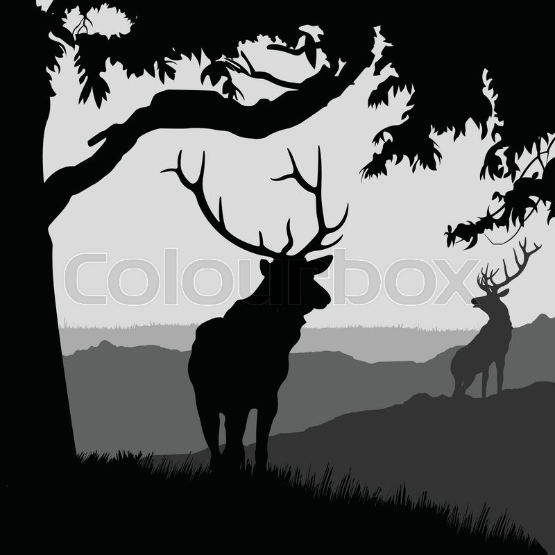 800x800 Monotonic Illustration Of Two Elks On Stock Vector Colourbox