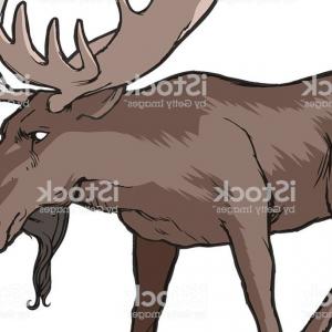 300x300 Elks Usa Logo Vector Marvelous Alaska Moose Stock Royalty Free