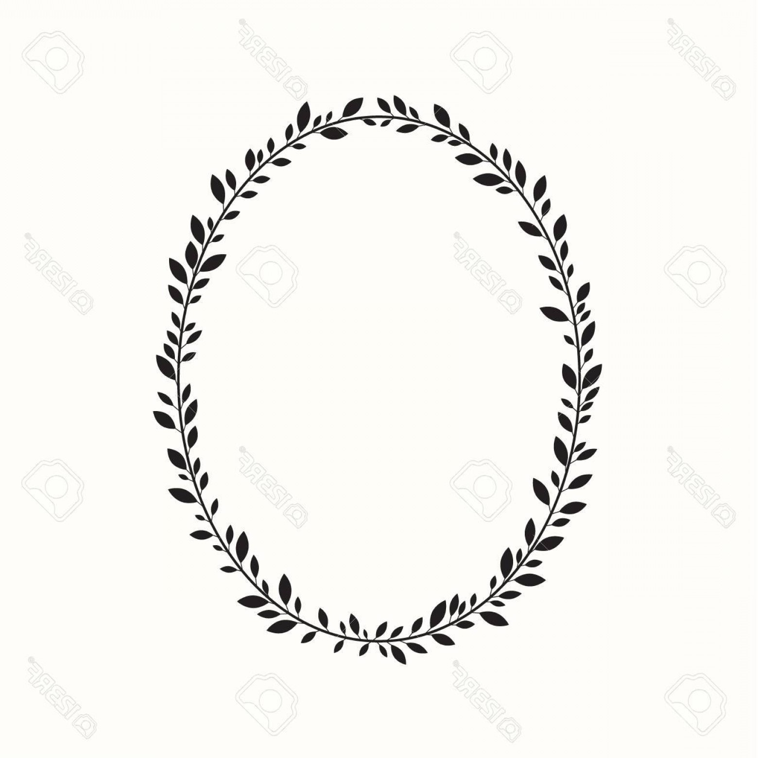 1560x1560 Photostock Vector Laurel Wreath Oval Ellipse Vector Illustration