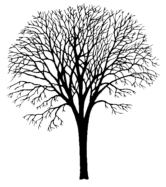 532x600 Elm Tree For Ma Ink Elm Tree, Birch Tree Tattoos, Watercolor Trees