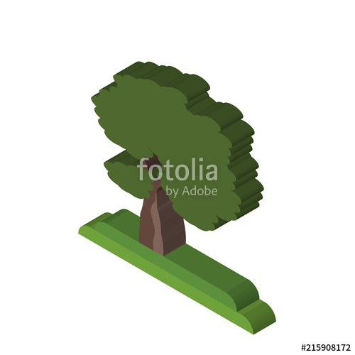 500x500 Slippery Elm Tree Isometric Right Top View Icon Stock Image
