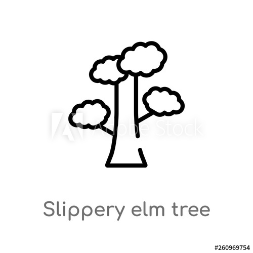 500x500 Outline Slippery Elm Tree Vector Icon Isolated Black Simple Line